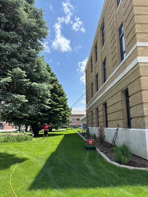 image7